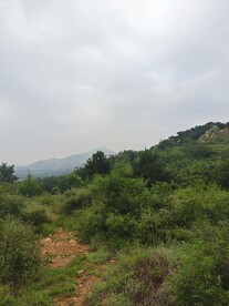 山坡