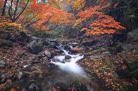 山间小溪