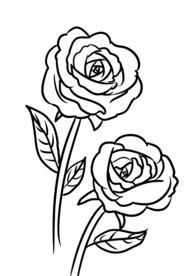 简笔画漫画玫瑰花