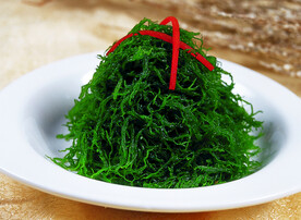龙须菜