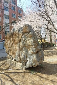樱花园 