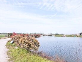 河岸