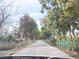 林间公路