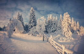 雪景