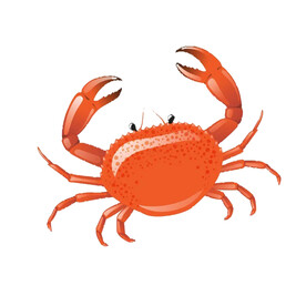 大红螃蟹卡通手绘单层免抠