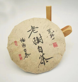 样机