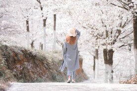 背影