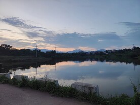 鱼塘