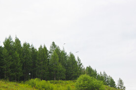 山坡