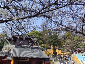 鸡鸣寺  
