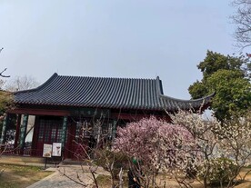 梅花山  