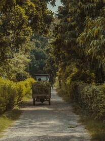 乡间道路
