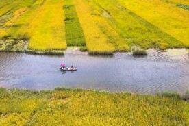 田野河流