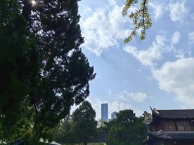 天空与树  
