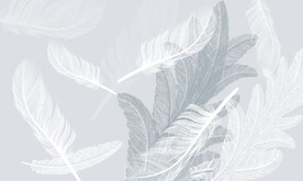 羽毛背景墙