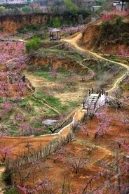 桃花源