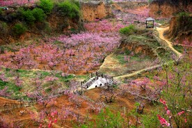 桃花源