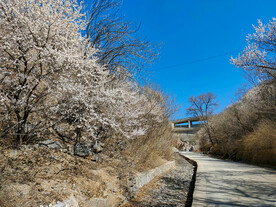 北京市石景山区南马场水库