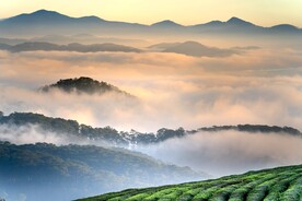云山雾海