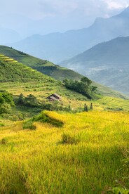 梯田上的木屋