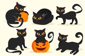 黑色猫咪