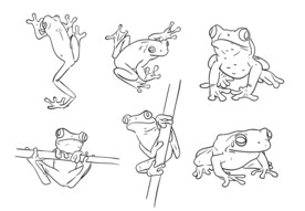 青蛙简笔画
