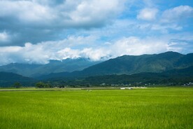 蓝天草地