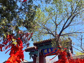 云门山望寿阁