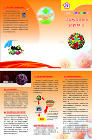 诺如病毒折页