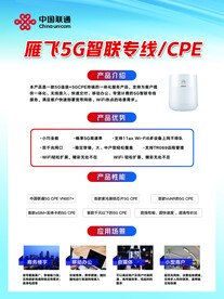 雁飞5G 智联专线