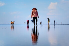 赶海