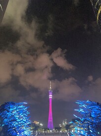 小蛮腰