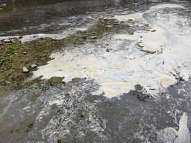 河水白色泡沫
