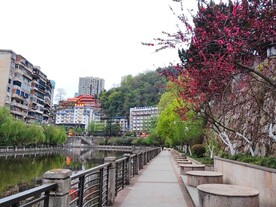 观光步道圆形座椅