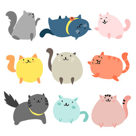 可爱猫咪