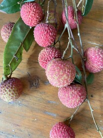 荔枝 桂味