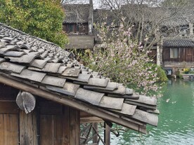 乌镇的春天