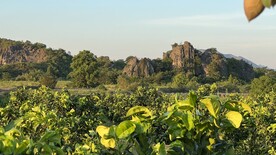 乡村小景