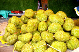 榴莲