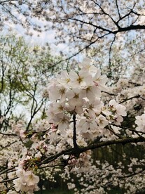 太子湾