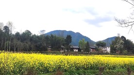 田园风光