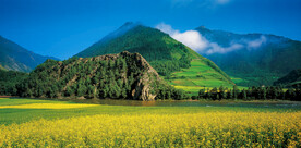 青海山水风景