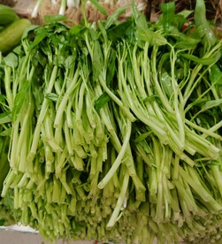 通心菜