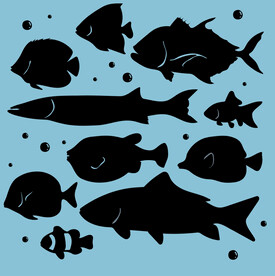 鱼类图标