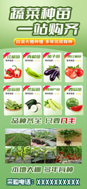 蔬菜