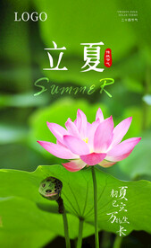 立夏海报