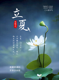 立夏海报