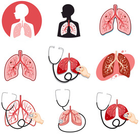 肺部插画