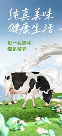 牛奶