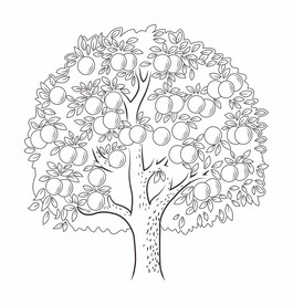 矢量橘子树  柑橘树
